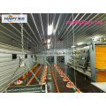 Professional Poultry Equipment with Prefab House Construction From Factory